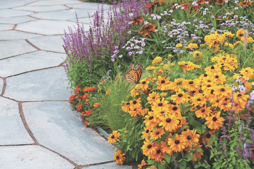 Screenshot 2026 02 06 at 5.26.01 PM